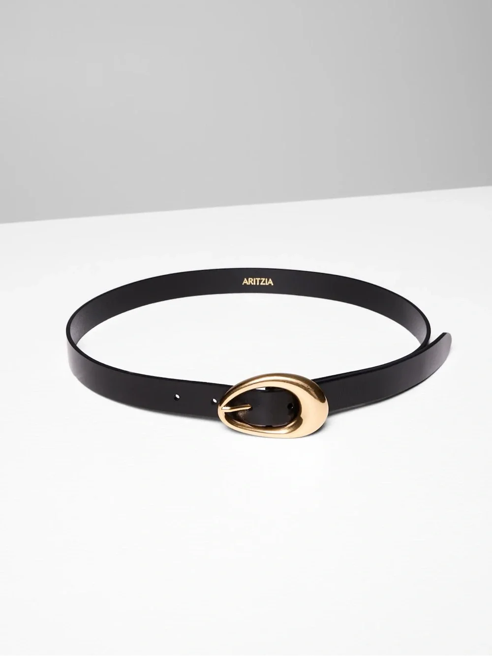 Aritzia Perennial Brass Belt - Picture 2 of 5